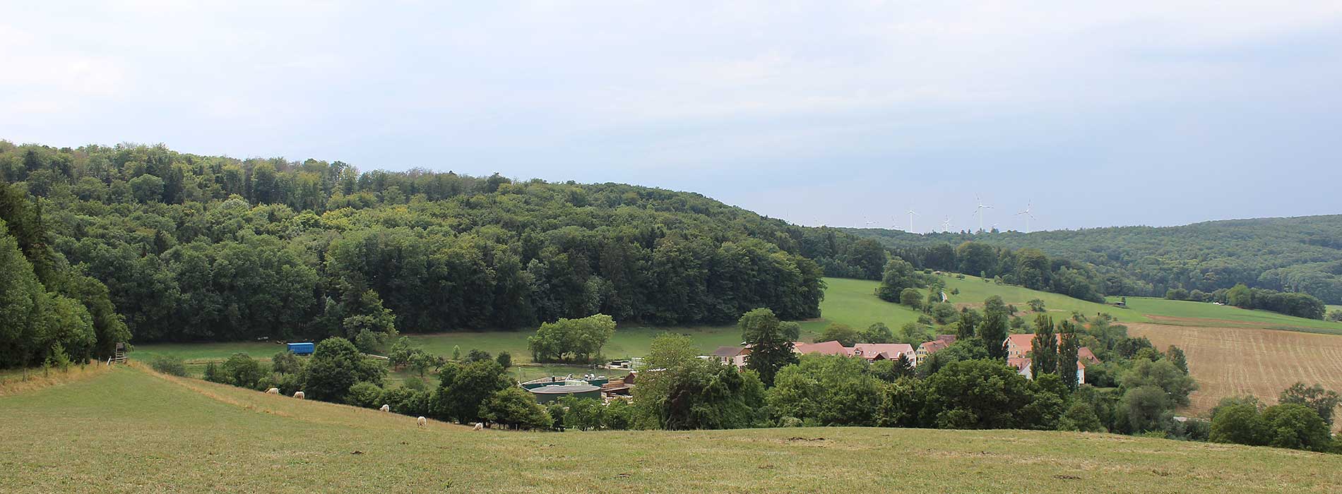 Hofgeschichte