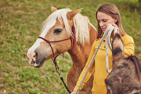 Berghof Ponys reiten