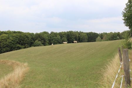 Berghof Oberweiler