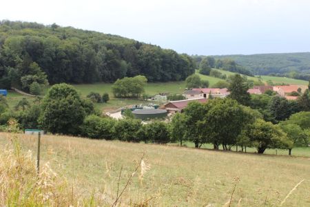 Hof Meinheim